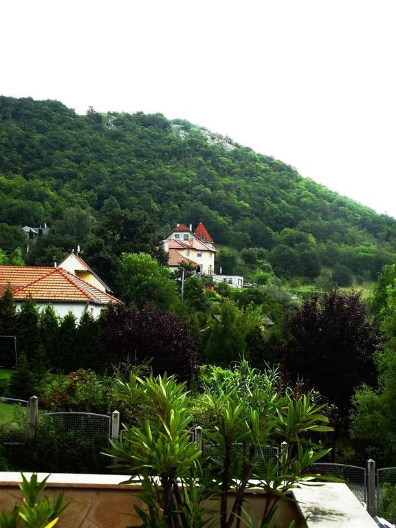 Bed and Breakfast Tündérszikla Panzió Pilisjaszfalu Esterno foto